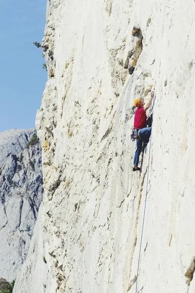 Skalisty arywista rosnącej trudnych urwiska. Climbi Extreme sport — Zdjęcie stockowe