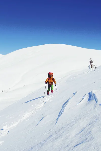 Caminante raquetas de nieve corriendo en polvo nieve con hermosa salida del sol li —  Fotos de Stock