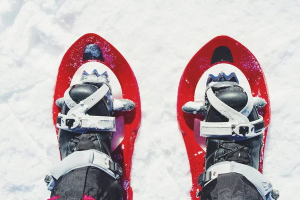 Caminhante sapato de neve correndo na neve em pó com belo nascer do sol li — Fotografia de Stock