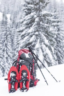 Dağlarda kar ayakkabıları bir sırt çantası ile hiking kış ve 