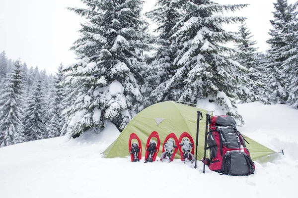 Caminhadas de inverno nas montanhas em sapatos de neve com uma mochila e — Fotografia de Stock