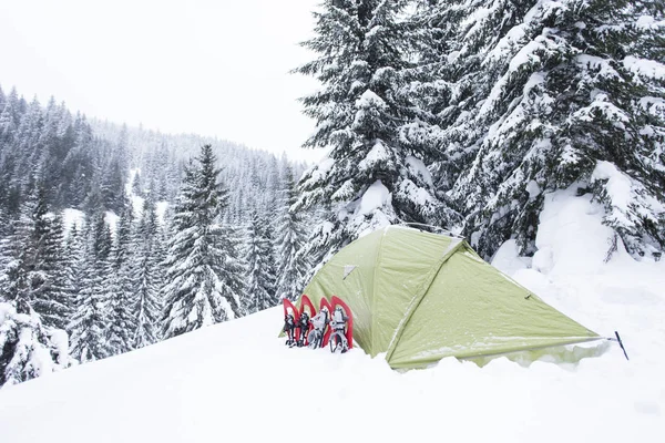 Caminhadas de inverno nas montanhas em sapatos de neve com uma mochila e — Fotografia de Stock