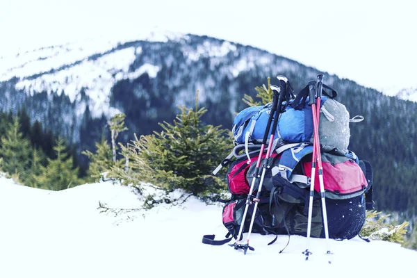 Zimowe wędrówki w górach na rakietach śnieżnych z plecakiem i — Zdjęcie stockowe
