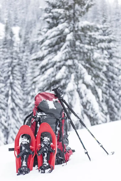 Winter in de bergen te wandelen op sneeuwschoenen met een rugzak en — Stockfoto
