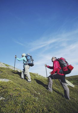 Bir sırt çantası ve çadır ile dağlarda yaz zammını.