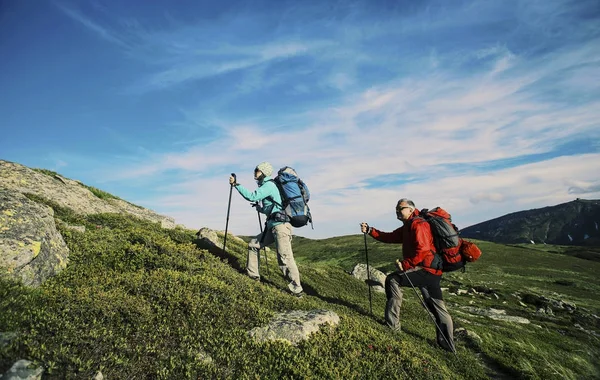 Bir sırt çantası ve çadır ile dağlarda yaz zammını. — Stok fotoğraf