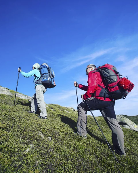 Caminata de verano en las montañas con una mochila y tienda de campaña . —  Fotos de Stock