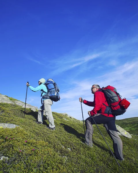 Caminata de verano en las montañas con una mochila y tienda de campaña . —  Fotos de Stock