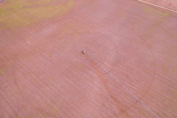 Kornkreise Wühlmaus Verfolgt Drohne Ansicht — Stockfoto