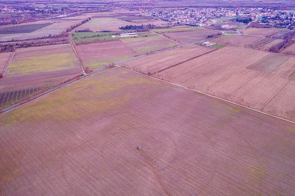 Crop Circles Vole Tracks Drone View — Stock Photo, Image