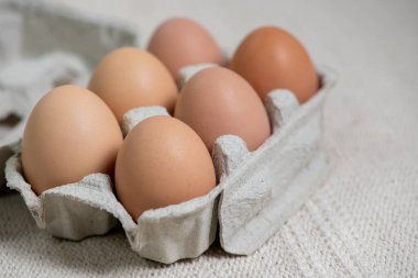 Beyaz arka planda karton bir kutuda tavuk yumurtası.