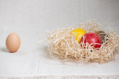 Tavuk yuvasında elmalı limon ve kivi