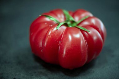 Gri arka plan temalı büyük kırmızı domates. Boşluğu sol tarafa kopyala