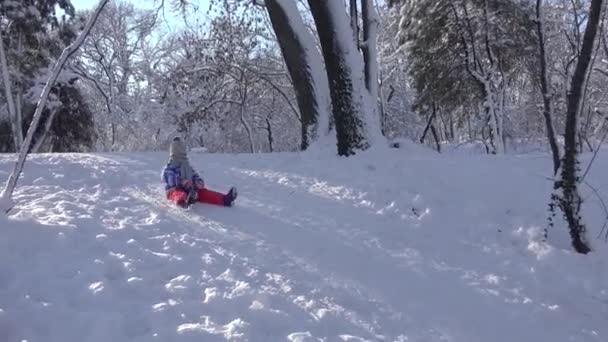 Gyerek Sledding a hóban, Kislány játszik télen, Kölyök Sledging a parkban — Stock videók