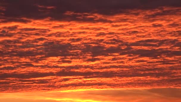 Sunrise Timelapse, pôr do sol, vista do céu ao pôr do sol no verão, lapso de tempo — Vídeo de Stock