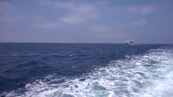 Cruise feribot yelken deniz gezisi tekne gemi uyan, köpüklü dalgalar sahile seyahat — Stok video