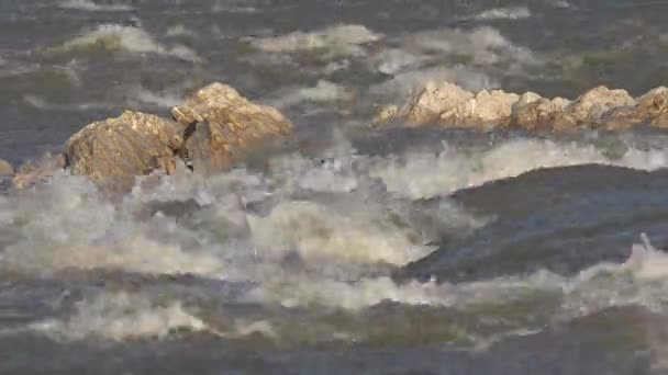 Ruisseau de rivière après la tempête, source propre cristalline de l'eau du ruisseau Mountain Brook 