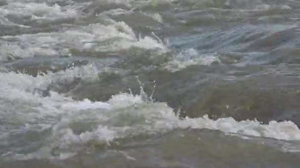 嵐の後の川の流れ、マウンテンブルッククリーク水結晶クリーンソース — ストック動画