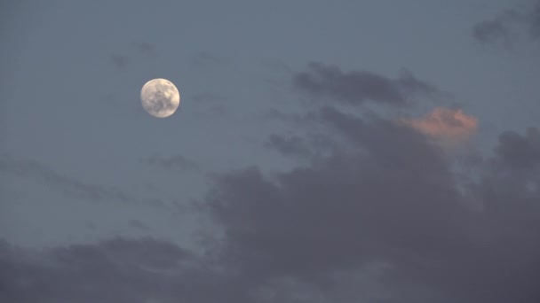 Fullmåne stiger i moln Crepuskulär himmel, skymning ljus utsikt, kvälls bakgrund — Stockvideo