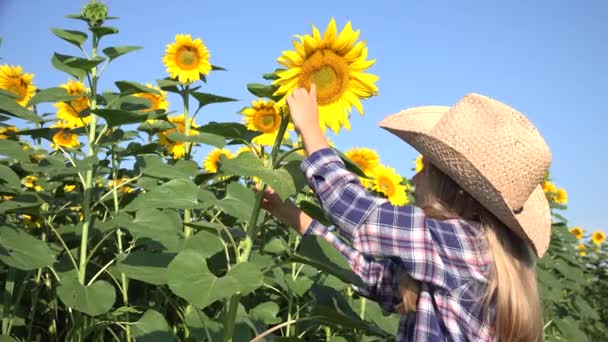 Bauernkind auf Sonnenblumenfeld, Mädchen studiert bei der Agrarernte — Stockvideo