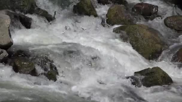 Mountain River no dia da chuva, riacho de primavera, pedras de riacho, rochas, vista da natureza — Vídeo de Stock