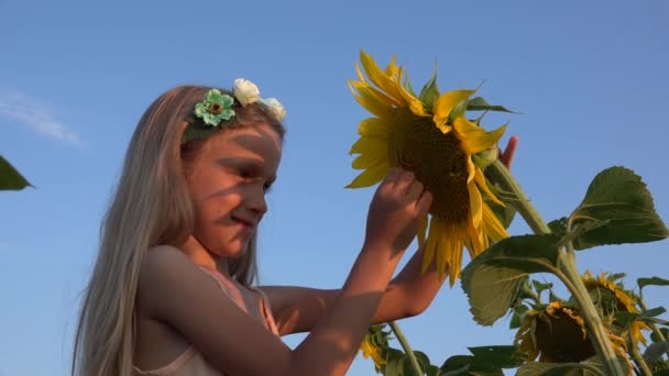 4K-Kind spielt im Sonnenblumenfeld, Mädchen-Portrait-Gesicht lacht, lächelndes Kind in der Landwirtschaft — Stockvideo