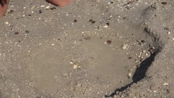 4K Kid Hands on Beach, Child Playing in Benchmark on Seasore, Girl on Coastline — стоковое видео