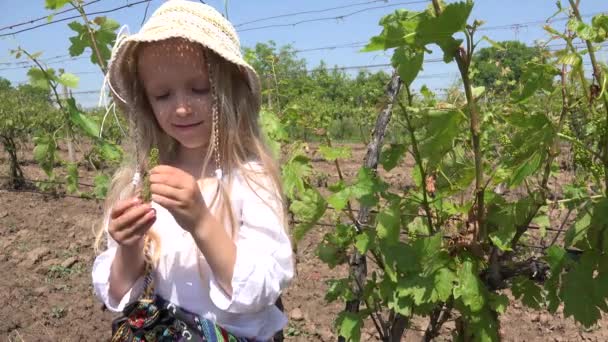 4K Niño comiendo uvas en el viñedo, Retrato infantil rústico, Niña jugando en el campo — Vídeos de Stock