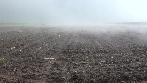 Fog Agriculture Field Smoke Cultivated Land Foggy Day — стокове відео