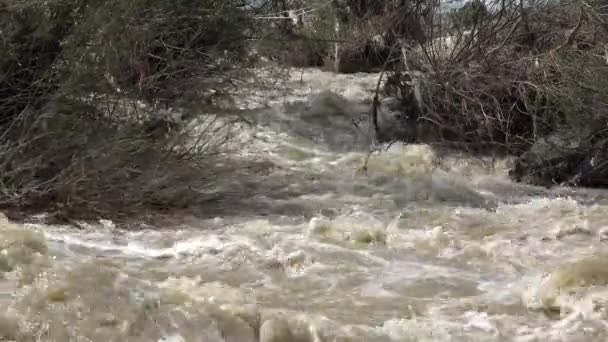 4K Rio lamacento em inundação, inundação por chuva, tempestade, inundado, calamidade — Vídeo de Stock