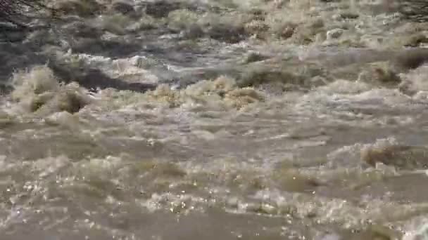 4k Λασπωμένος ποταμός στη πλημμύρα, πλημμύρα από τη βροχή, καταιγίδα, πλημμυρισμένος, Καλάμιτυ — Αρχείο Βίντεο