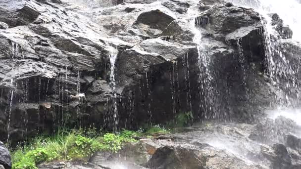 Ribeiro de queda de água do rio 4K nas montanhas, dia de chuva de verão na floresta, vista de madeira — Vídeo de Stock