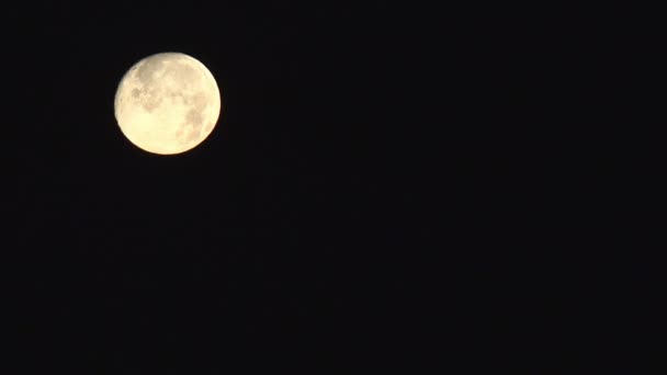 Mond steigt Wolken Nachthimmel halloween gelb Mondschein Blick Herbst Abend — Stockvideo