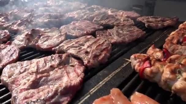 Salchichas a la parrilla 4K, Kebab, Hamburguesa y carne de cerdo, Barbacoa para picnic — Vídeo de stock