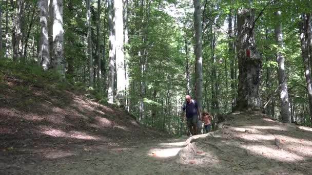 4K Père, Enfant Randonnée pédestre Sentier de montagne, Chemins, Randonnée en famille en forêt, Camping — Video