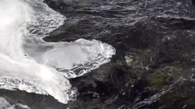 Nehirdeki 4k Donmuş Çiçekler, Kışın Brook, Donmuş Kar, Buzlu Dağ Deresi
