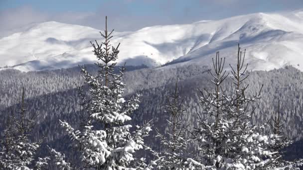 Zimowy krajobraz. Góry pokryte śniegiem i drzewa, Ośrodek narciarski, Śnieg Bożego Narodzenia w Alpach, Alpy View — Wideo stockowe