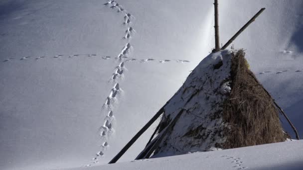 4K Escena de Invierno, Vista a la Montaña Rústica, Haystack, Polla, Hayrick Landscape Village — Vídeos de Stock