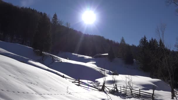 Paisagem de montanha de inverno 4K, Floresta de coníferas na neve, Paisagem de bosques Vista por dia — Vídeo de Stock