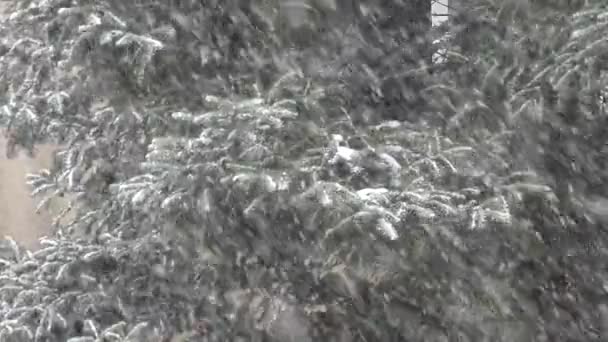 4K nevando na janela, Presentes de espera, Papai Noel, Cena de Natal, Vista de inverno — Vídeo de Stock