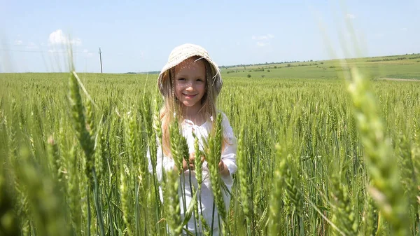 Kid Pšenice Pole Dítě Hraje Zemědělství Sklizeň Usmívající Dívka Tvář — Stock fotografie