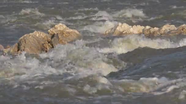 Муді Ріка Потопі Затоплена Дощем Бурею Потопом Нещастям — стокове відео