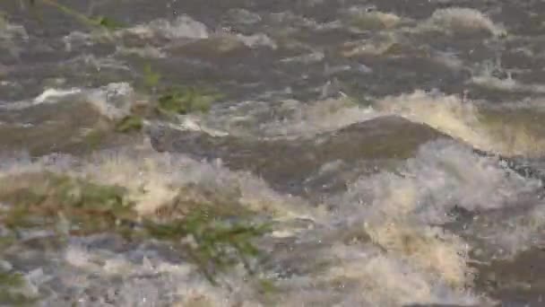 Мутная Река Потопе Наводнение Рейна Шторм Наводнение Кальций — стоковое видео