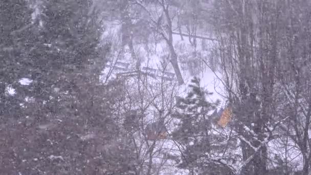 Snowing Playground Blizzard Winter Scene Sneeuwstorm Eerste Sneeuwval Het Park — Stockvideo