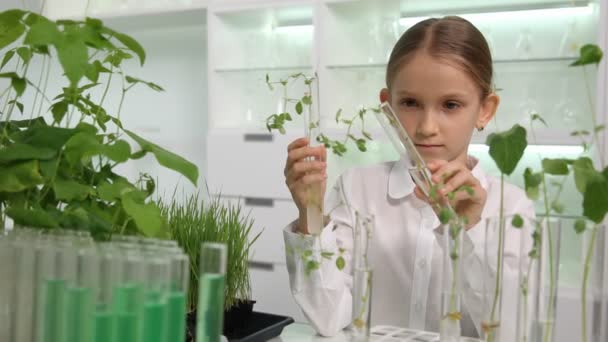 Kid in Chemistry Lab, School Kind in de Wetenschap Teelt Zaailingplanten, Student Girl Studeren Biologie klasse — Stockvideo