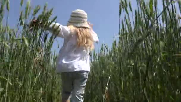Kid Caminando Campo Trigo Niños Comiendo Cereales Primera Persona Niña — Vídeos de Stock