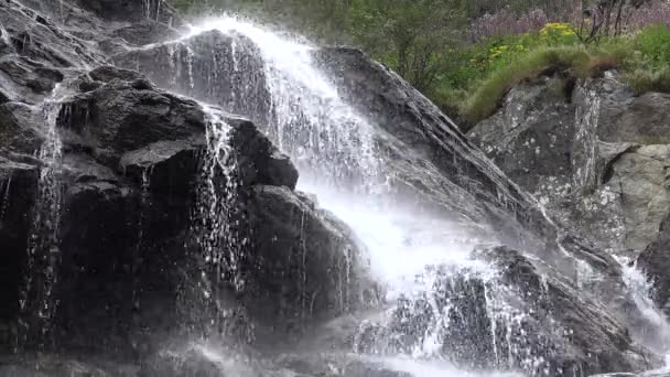 Cascate Del Fiume Montagna Cadono Rocce Muschiose Nella Foresta Vista — Video Stock
