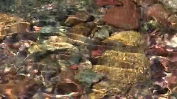 Fiume Montagna Avvicinamento Ruscello Primavera Torrente Con Pietre Rocce Vista — Video Stock