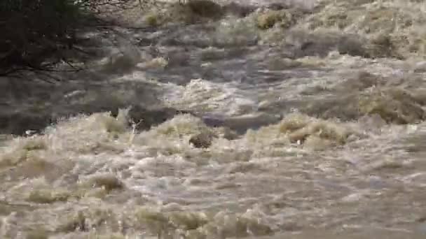 Lerig Flod Översvämning Översvämning Regn Storm Översvämning Katastrof — Stockvideo