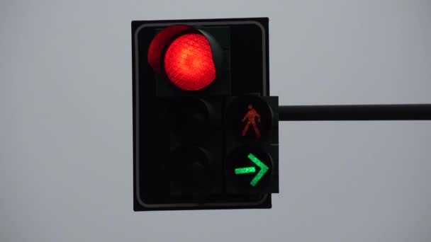 Semaphore Stop Cars Traffic Light Crowd People Pedestrians Drivers Cross — Stock Video